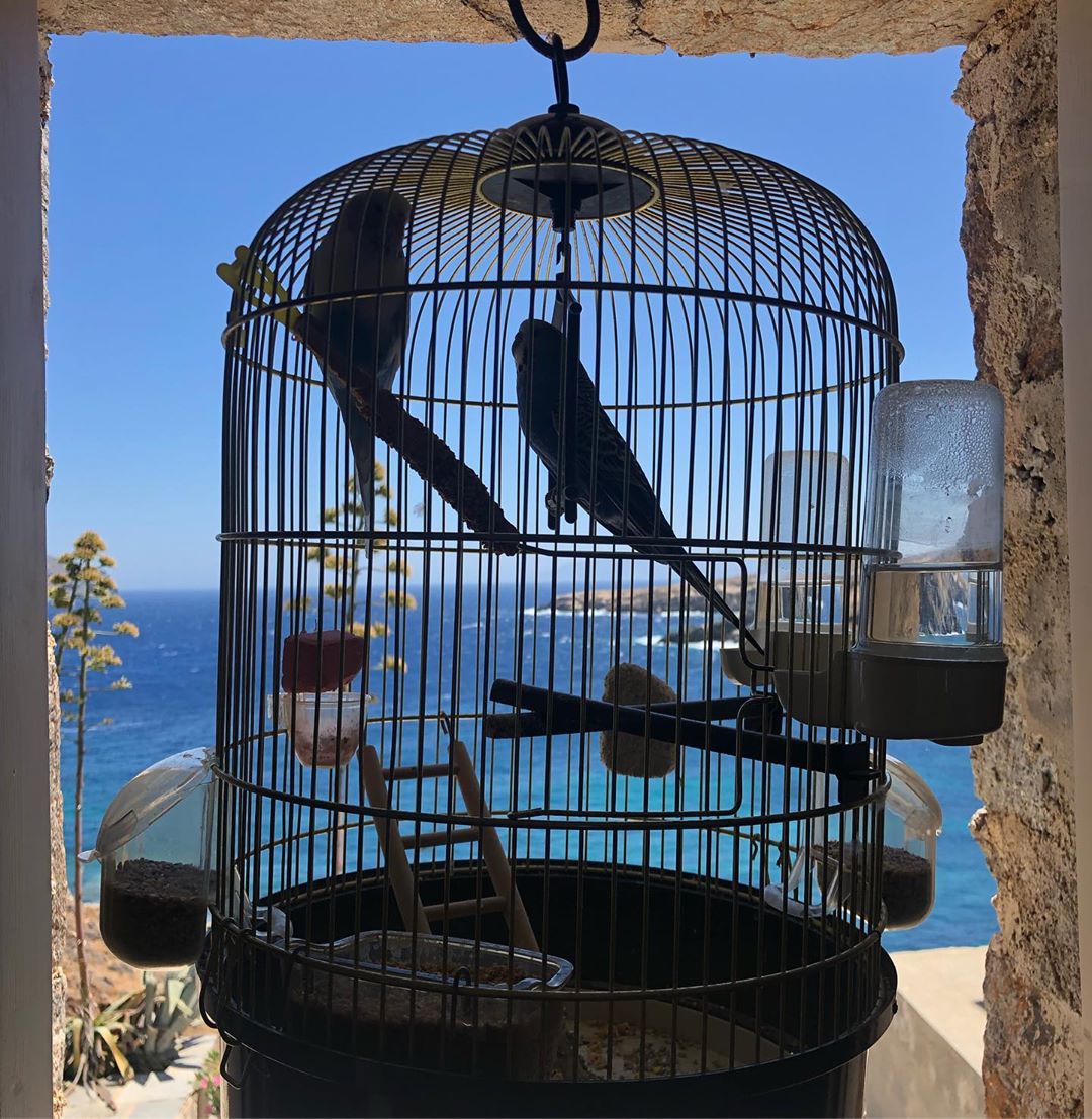 Τζένη Μπαλατσινού Βασίλης Κικίλιας