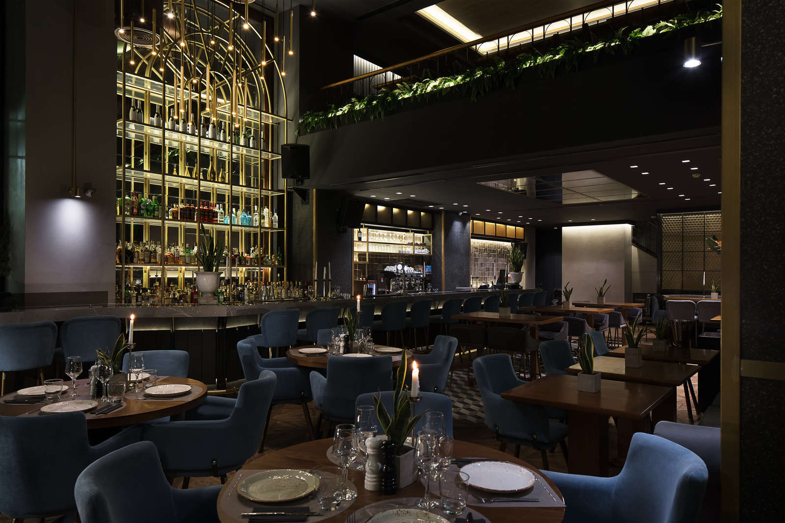 Darling the bar Iciao