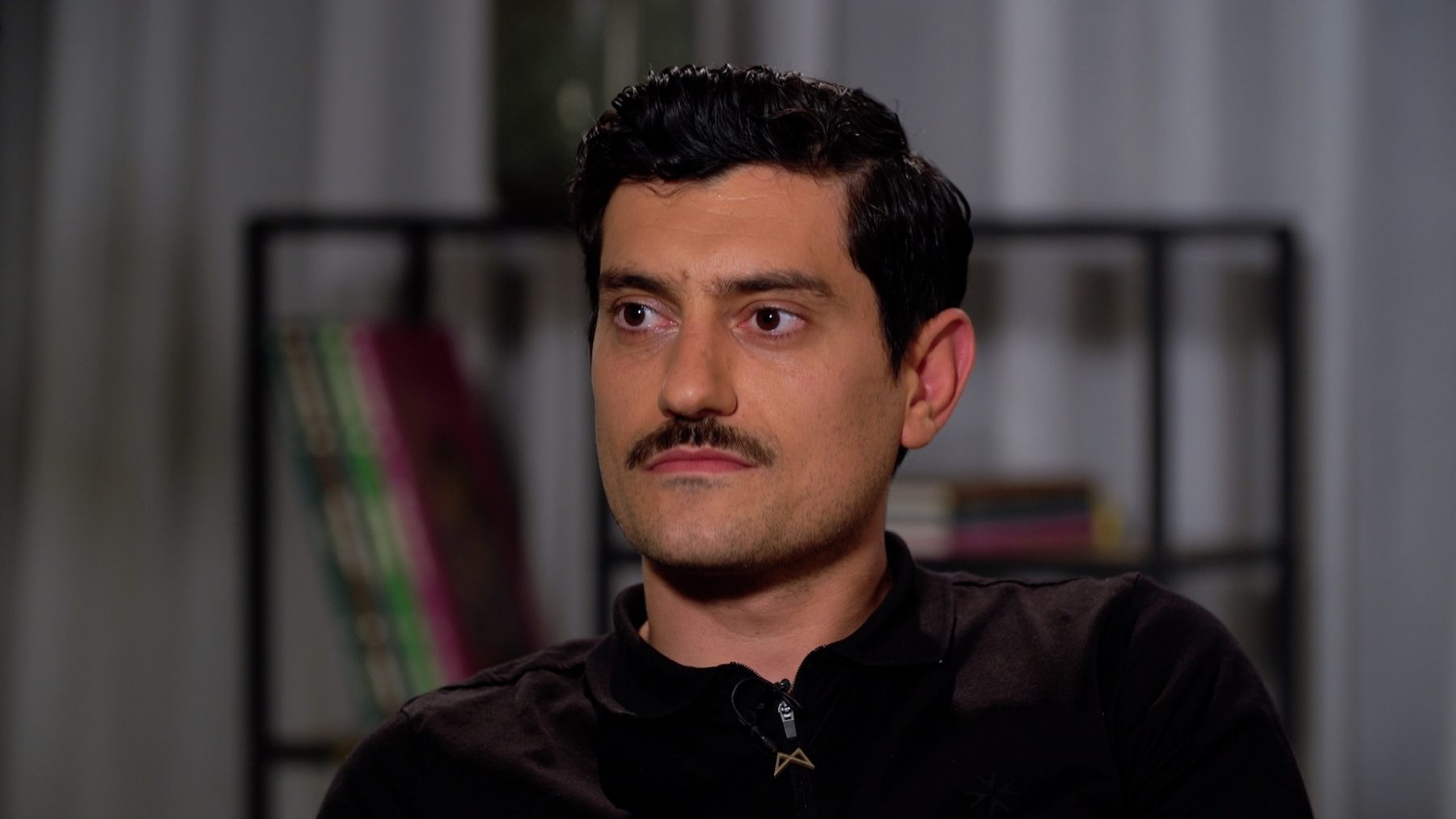 Αργύρης Πανταζάρας: από τις Άγριες μέλισσες στην ΕΡΤ