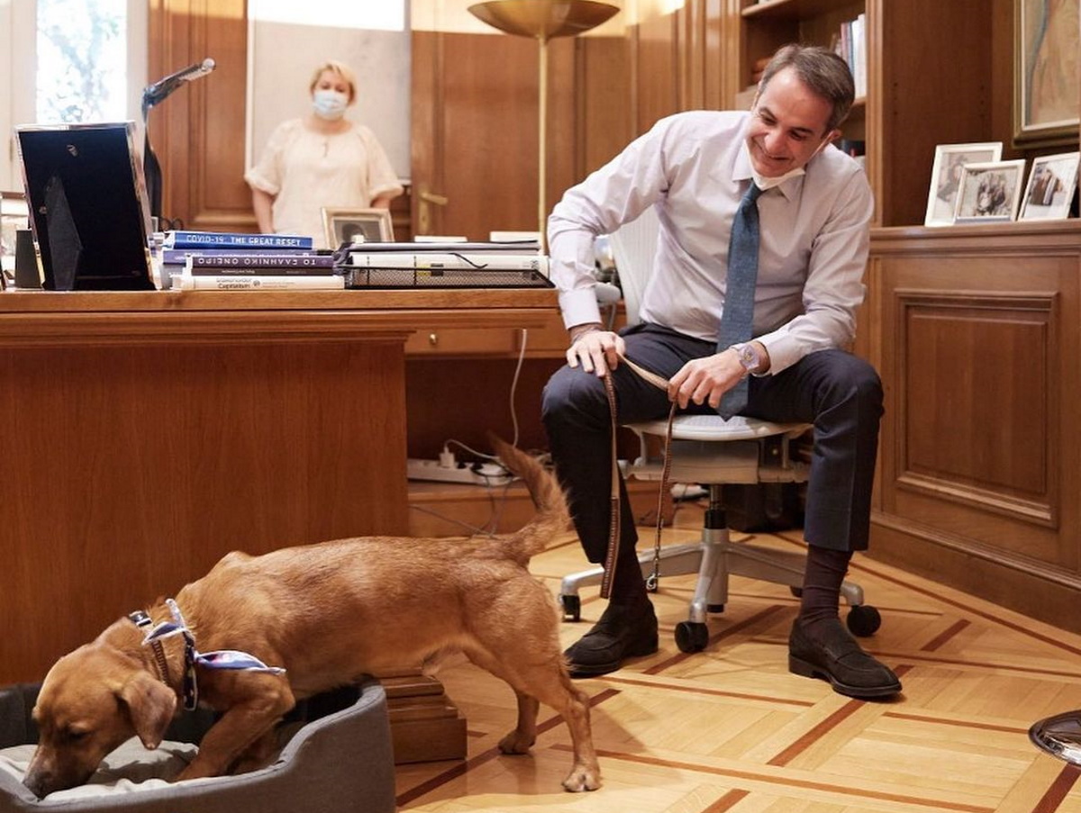 Το Μαξίμου έχει πλέον… το σκυλάκι του! Ο Μητσοτάκης υιοθέτησε τον Πίνατ [φωτογραφίες]