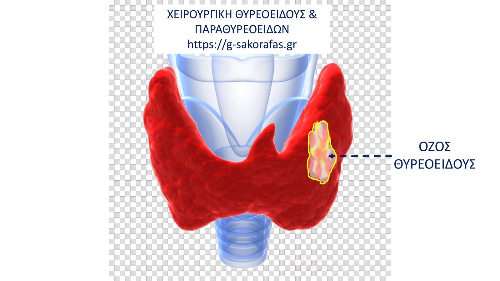 sakorafas-1620226167-24