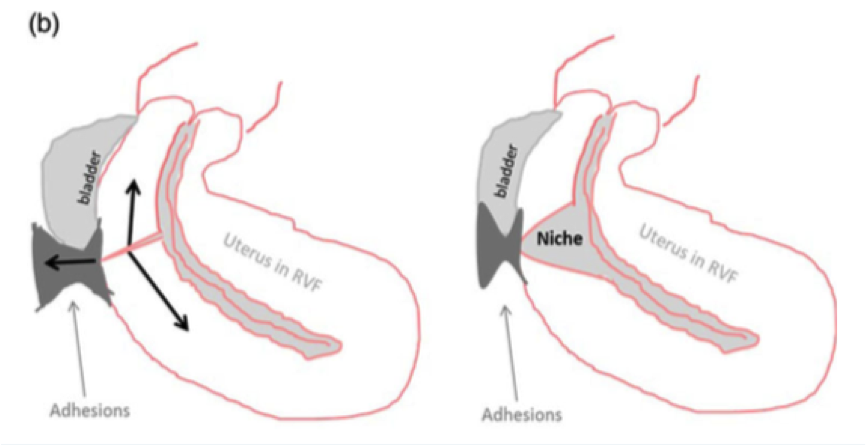 syrios-1622786943-18
