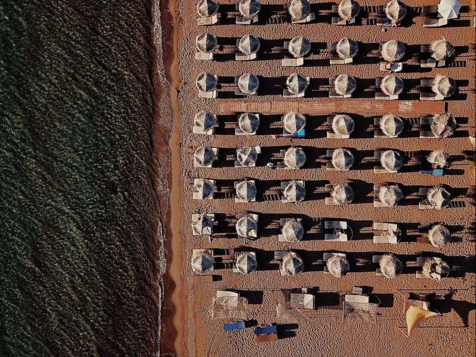 big-fish-1625564405-56