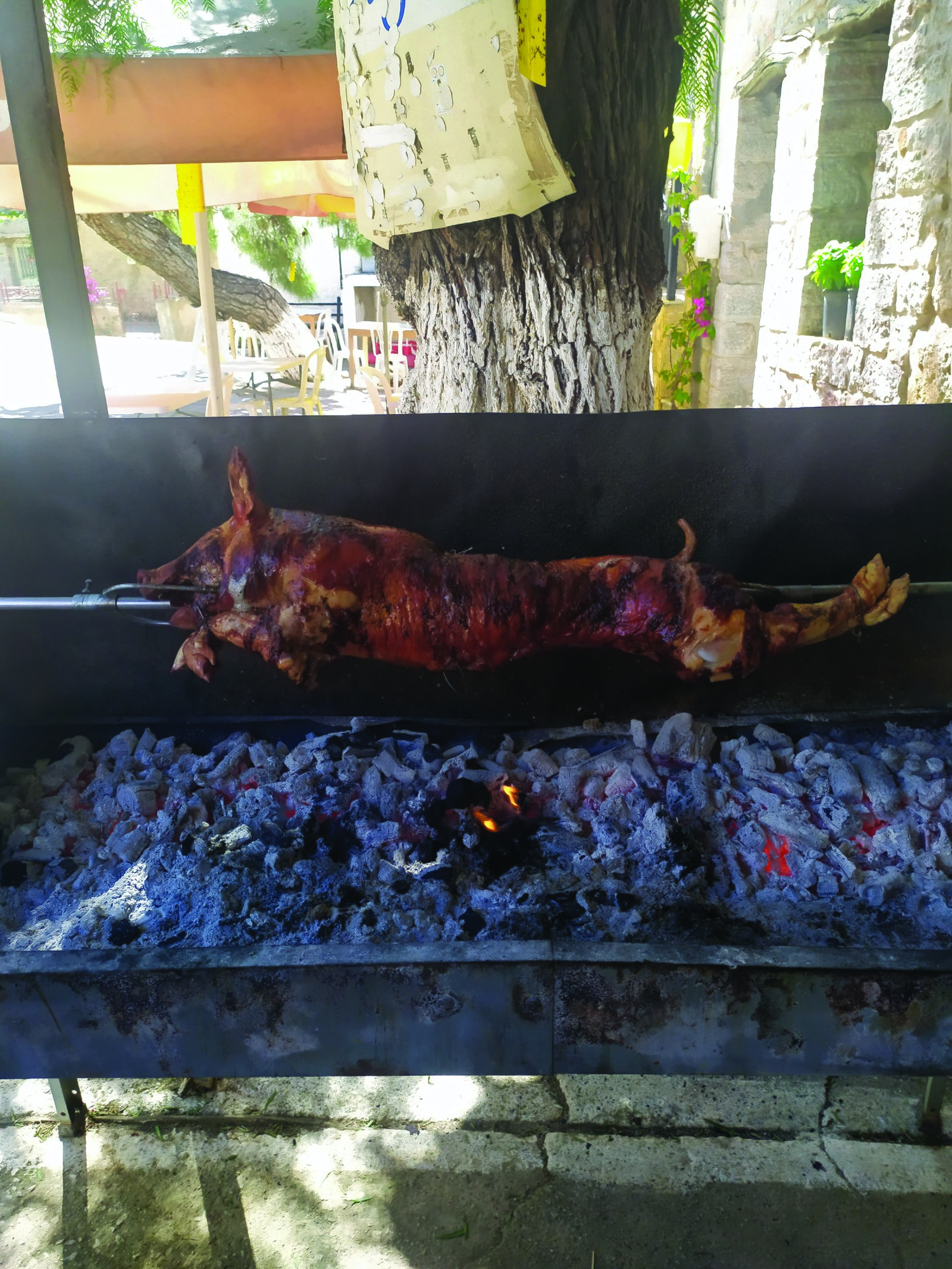 peukos-1627574348-96