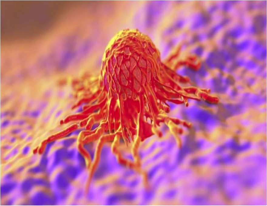 stergios-1626432448-105