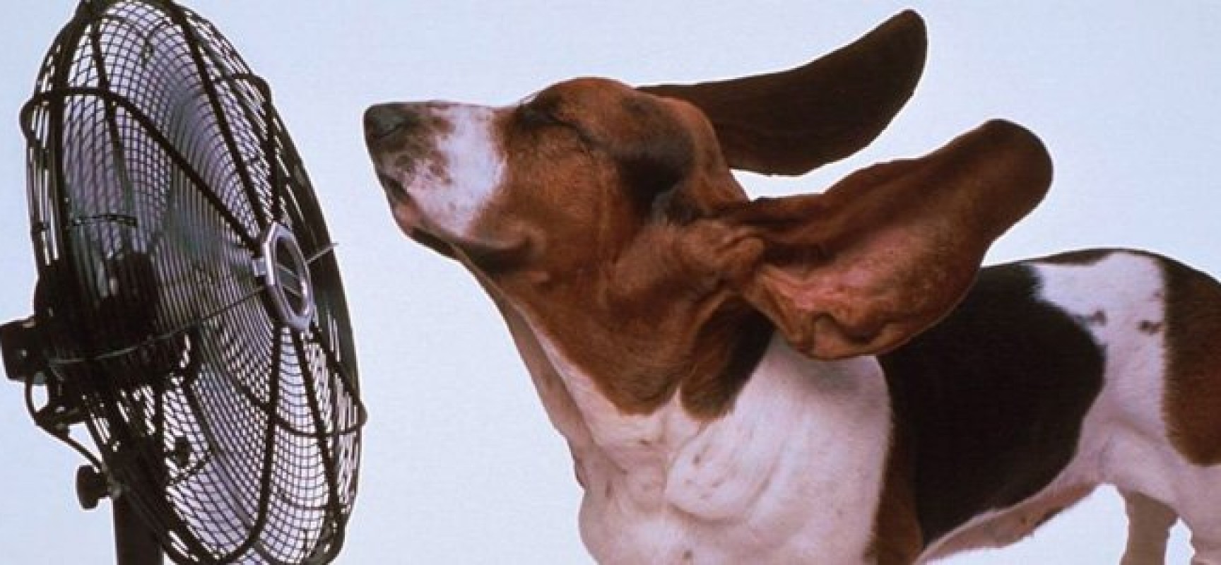 Καύσωνας: τέσσερα έξυπνα κόλπα που δροσίζουν