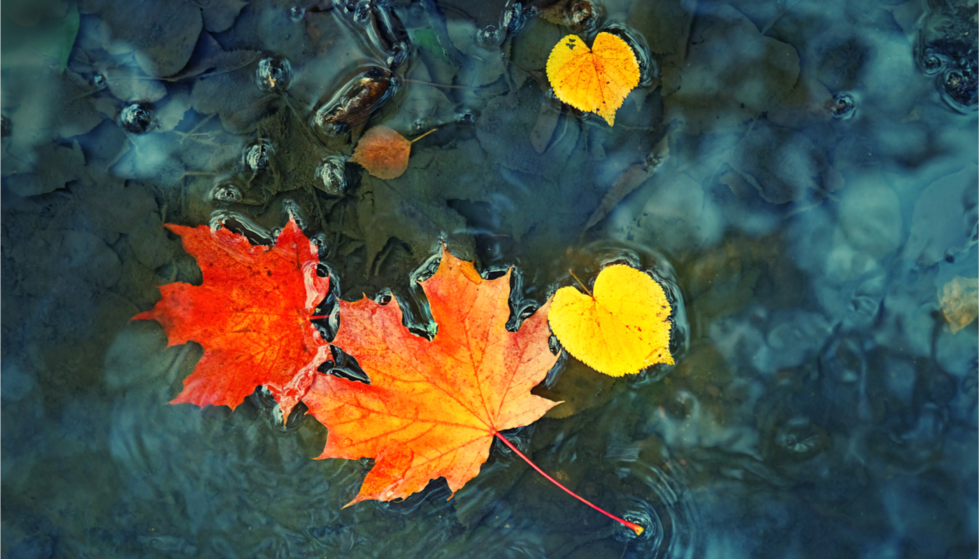 Ζώδια Σεπτεμβρίου 2021: το καλοκαίρι φεύγει - Μάθε τι σε περιμένει.