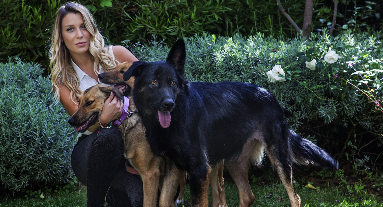 Κατρίνα Τσάνταλη: κάηκε το καταφύγιο A little Shelter - Όλη η προσπάθεια για να σωθούν τα ζώα