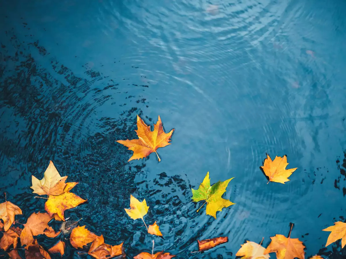 Οκτώμβριος 2021: μάθε τι λένε τα ζώδια για σένα αυτόν τον μήνα