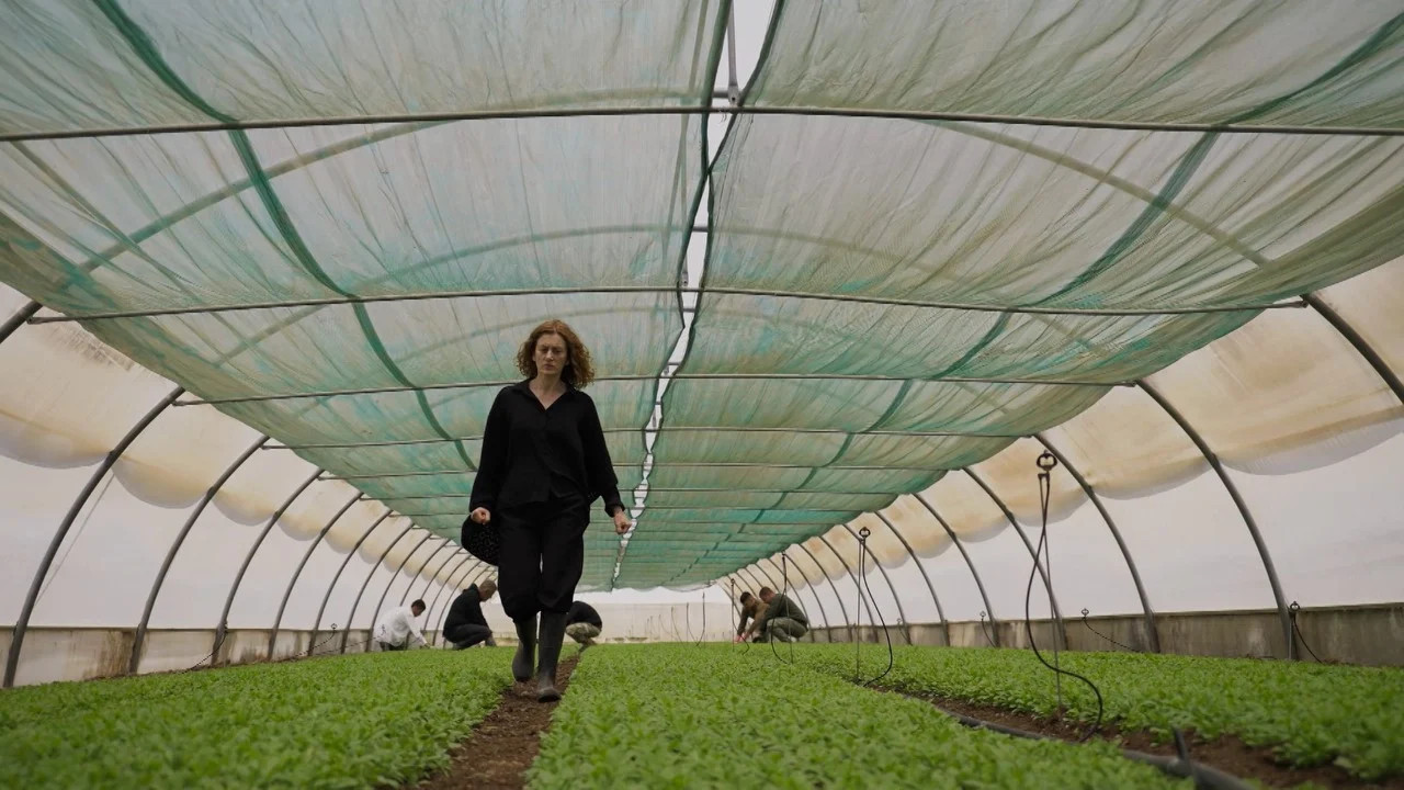 Η γη της ελιάς: η Χάιδω ανακαλύπτει πως ο άντρας της είχε ερωμένη