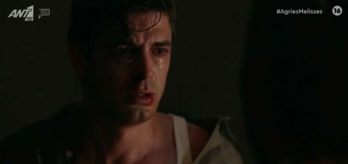 Άγριες Μέλισσες spoiler: ο Λάμπρος δέχεται δολοφονική επίθεση μέσα στη φυλακή