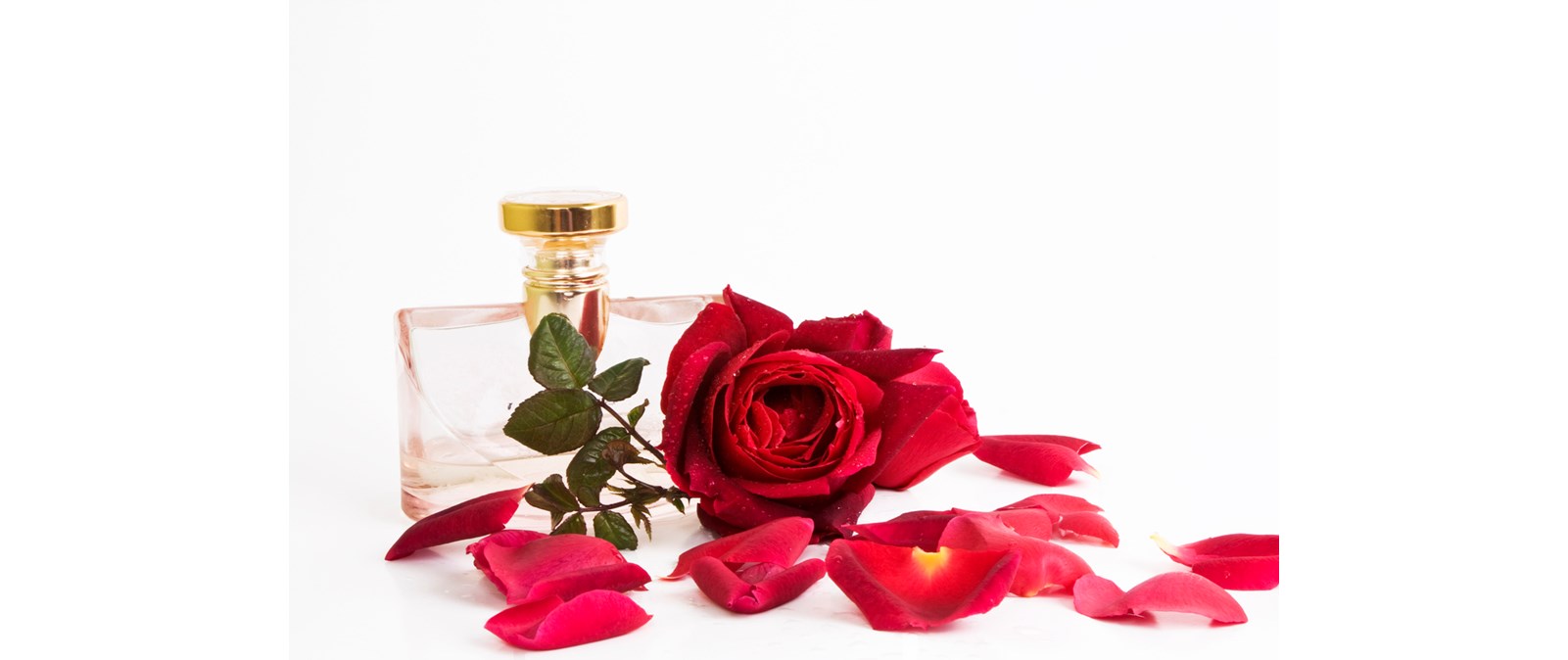 5 σαγηνευτικά αρώματα για την ημέρα του Αγίου Βαλεντίνου