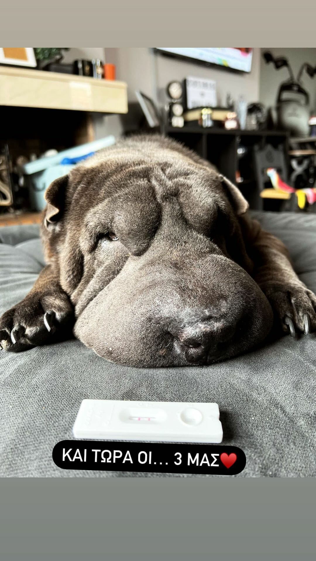 Μαρία Αναστασόπουλου κορονοϊός