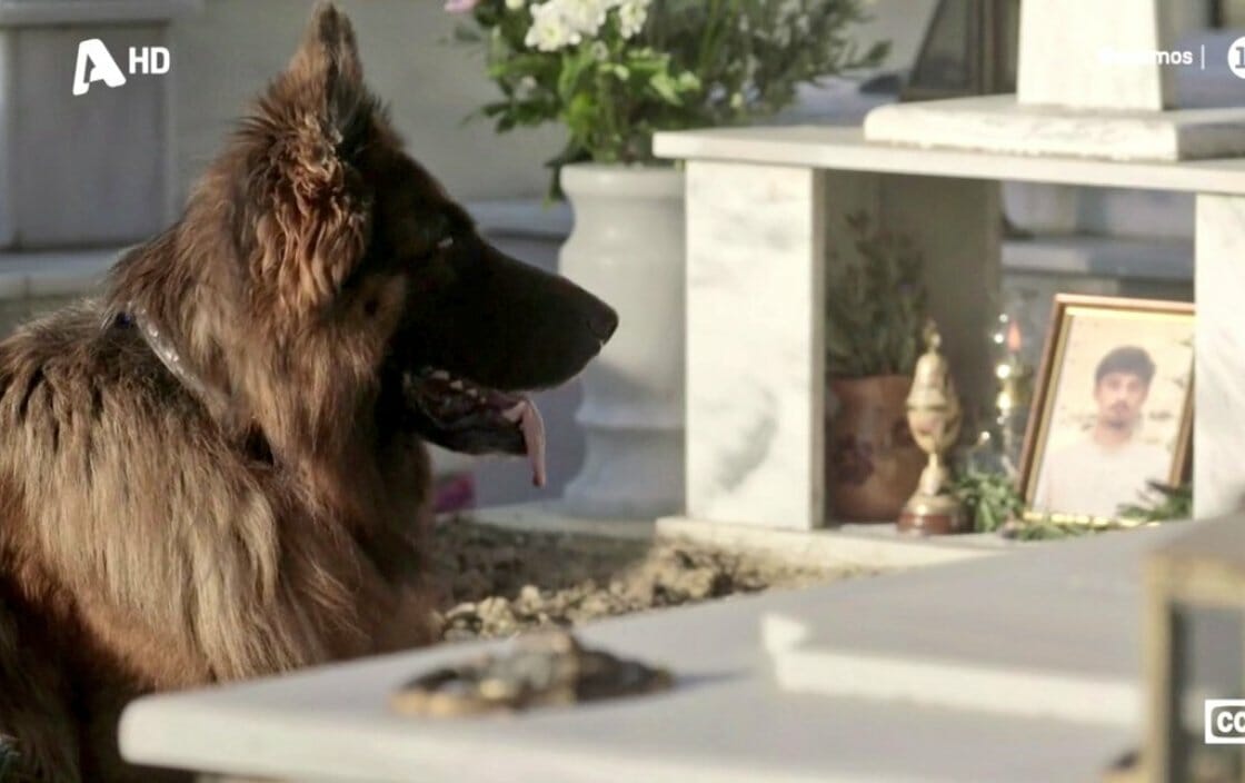 Σασμός: Ράγισε καρδιές ο θάνατος της Μανταρίνας