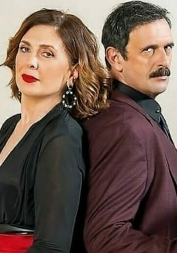 Άγριες Μέλισσες