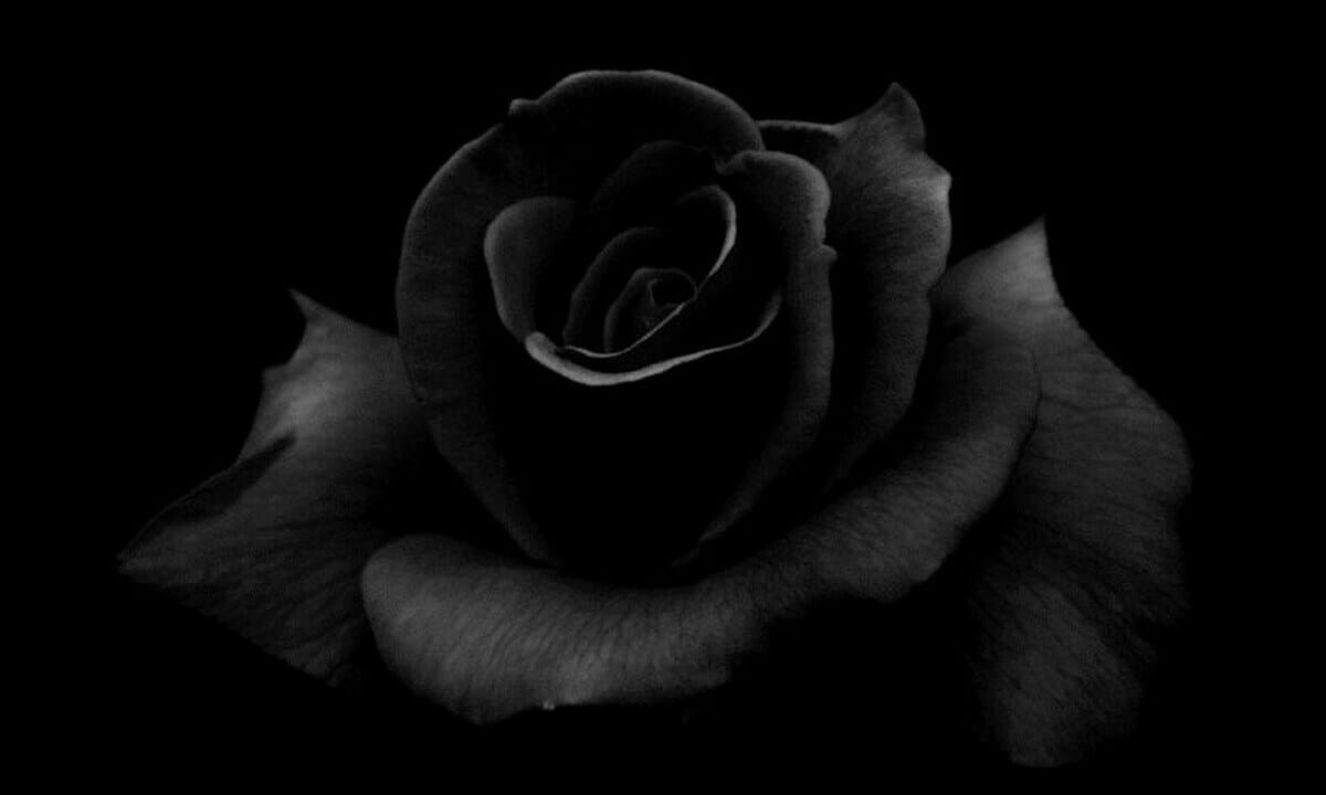 Μαύρο Ρόδο: σκηνοθέτης μεγάλων επιτυχιών στο τιμόνι της σειράς