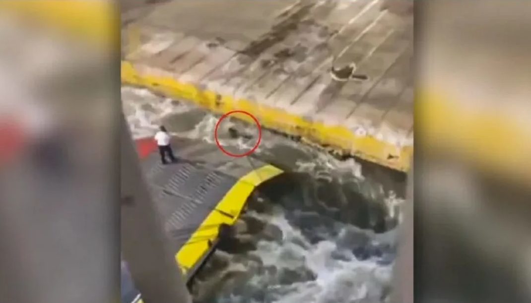 Η οργή των celebrities για το αποτρόπαιο περιστατικό στο Blue Horizon - «Κοινωνία σε σήψη»!